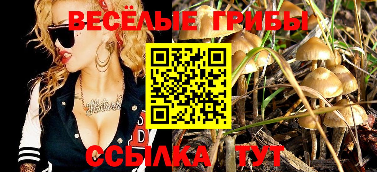 Галлюциногенные грибы ЛСД Кондопога