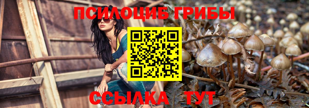 Галлюциногенные грибы Psilocybe  Вход с VPN  Кондопога 